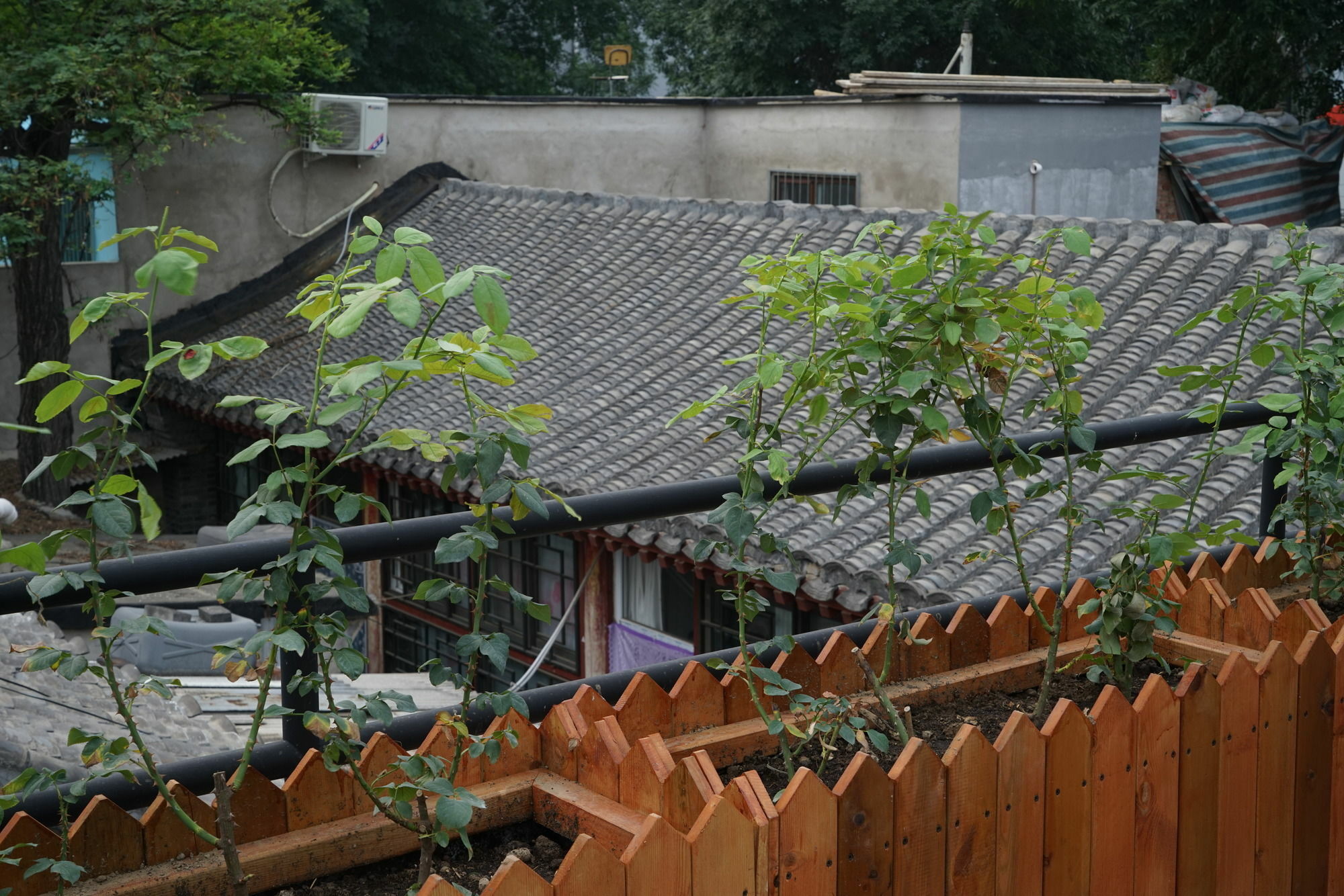 Garden Inn Beijing Exterior foto